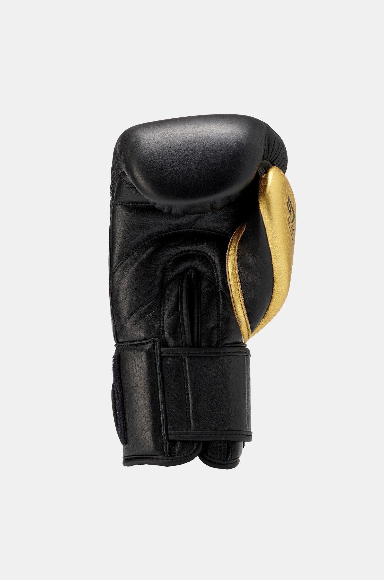 Evolution boxing gloves