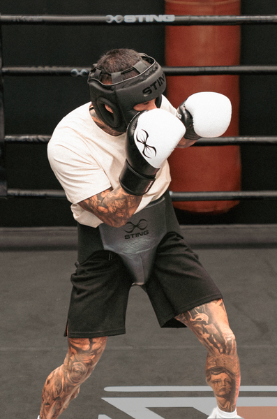 Orion boxing gloves