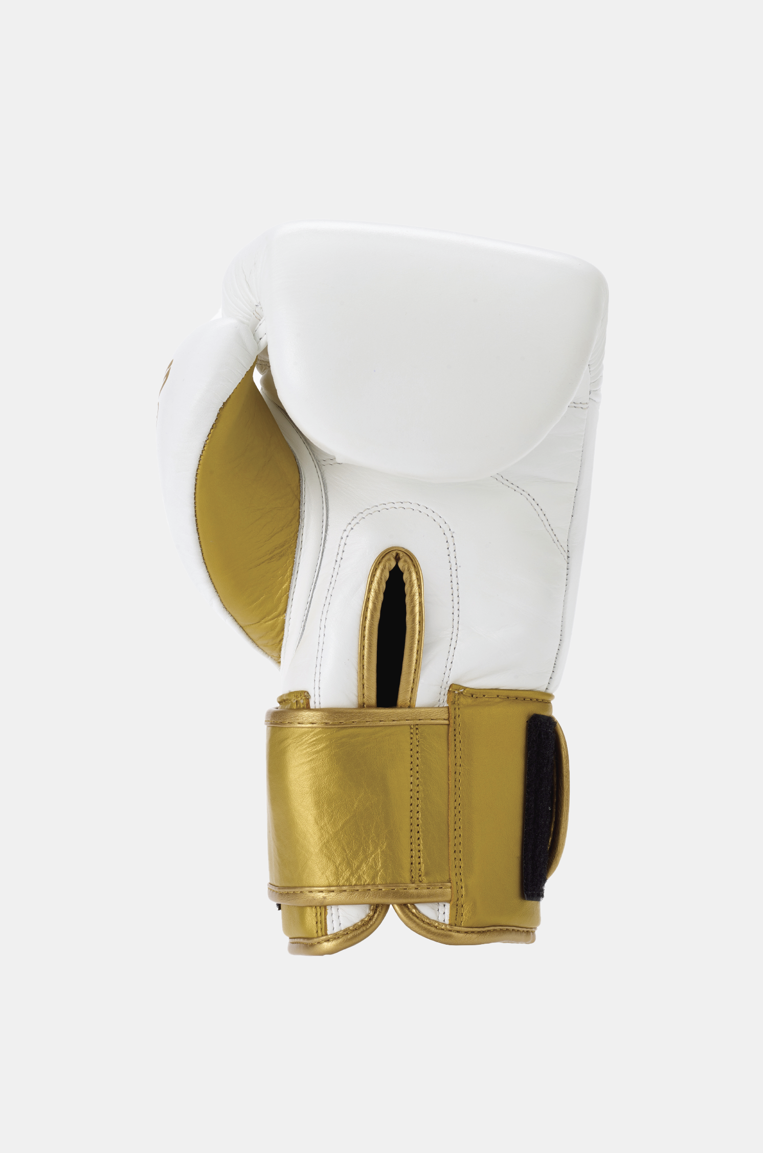 Evolution Boxhandschuhe