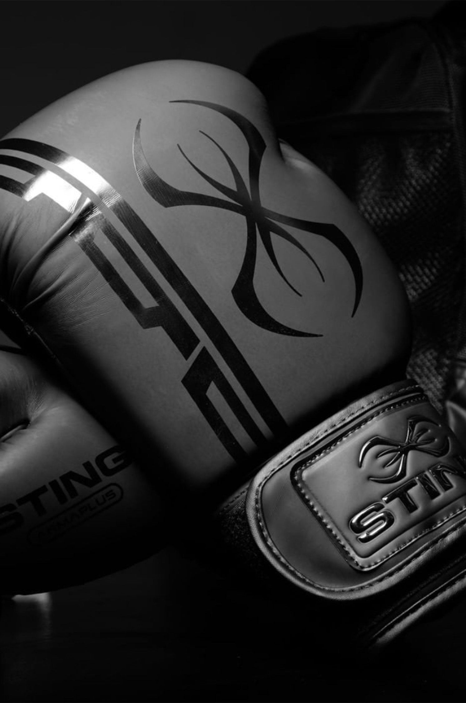Armaplus Boxhandschuhe